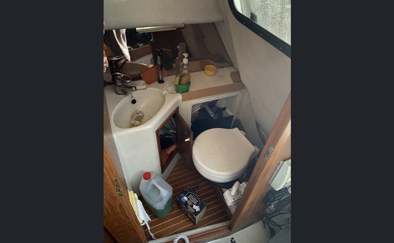 SeaStar 700 Cobra-kuva-4